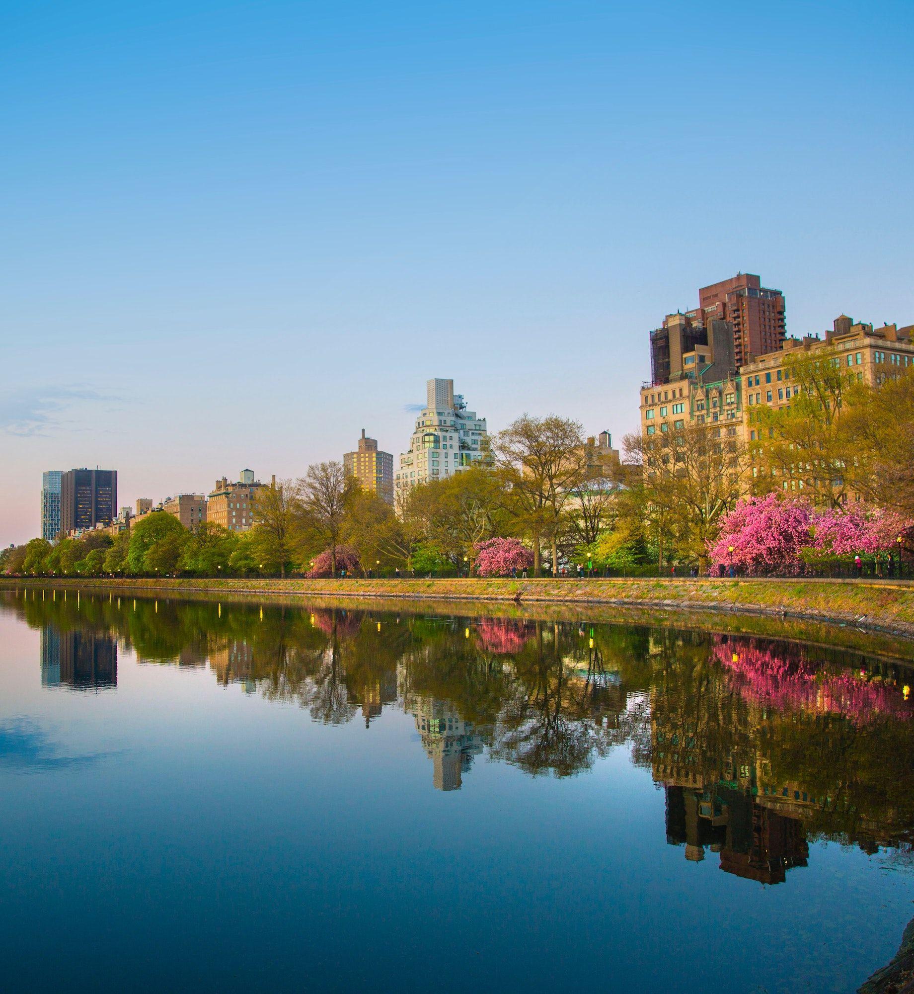 Row of New York City buildings next to the water