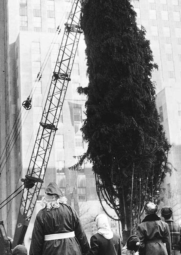 Black-and-white photo of the Rockefeller Center Christmas Tree being hoisted into place by a crane in 1951, with onlookers below.