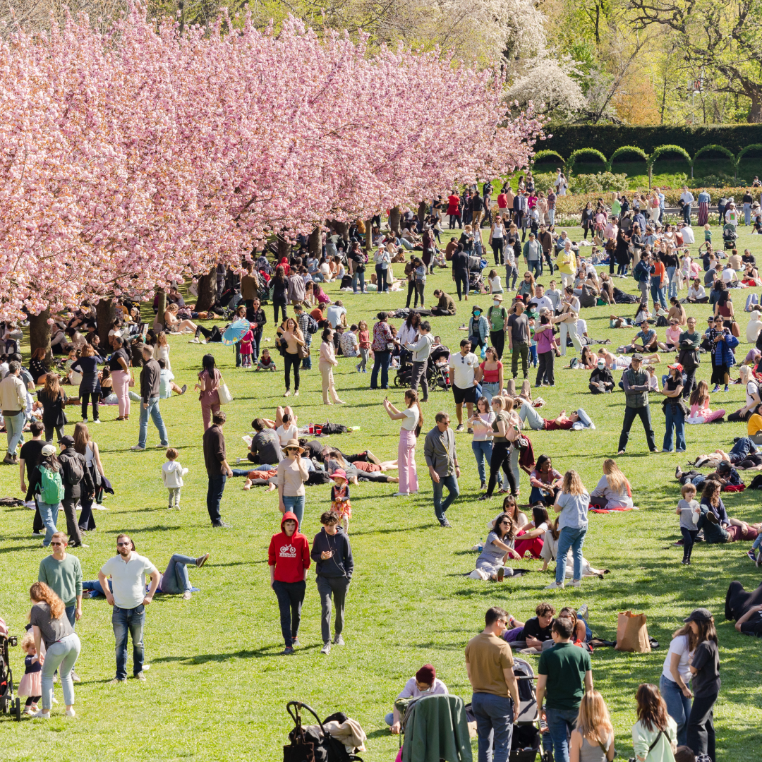 People walking around during Weekends in Bloom at Brooklyn Botanic Garden