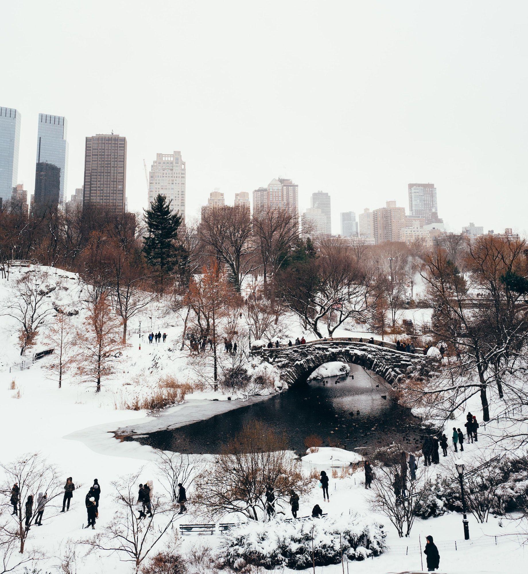 Snowy Central Park