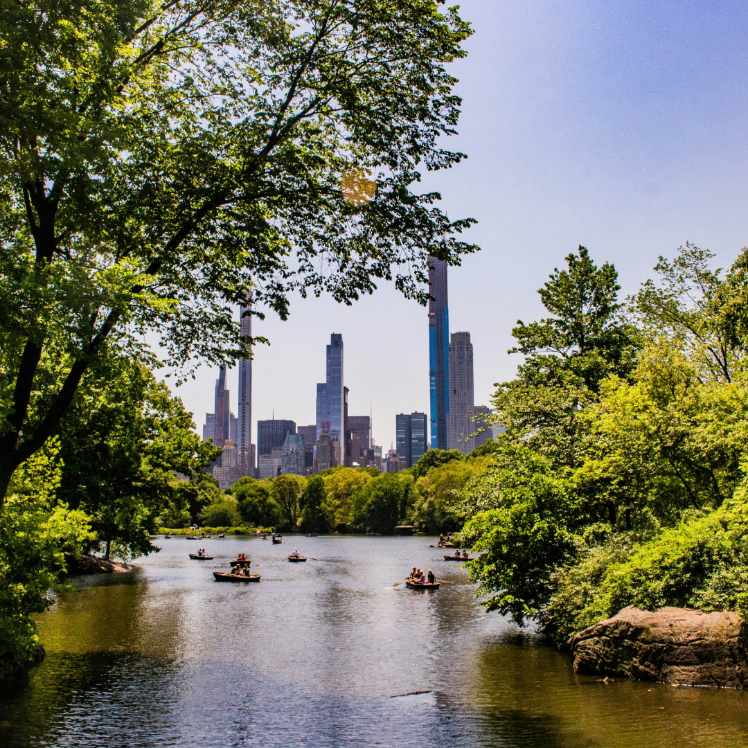 People kayaking on a pond in Central Park