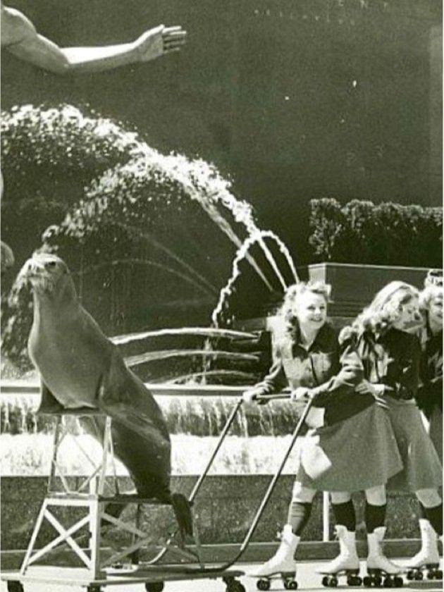 Black-and-white photo of a trained seal performing beside roller-skating performers at Rockefeller Center in 1940, with a fountain in the background.